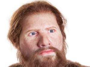 Homo Sapiens